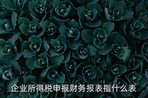 千戶集團財務(wù)報表申報是什么，2015年度財務(wù)報表和申報表指的是啥