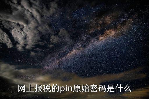 國稅什么叫pin碼，機(jī)構(gòu)代碼的ca證書的PIN碼是什么我用CA證書登陸國稅時(shí)提示詳細(xì)