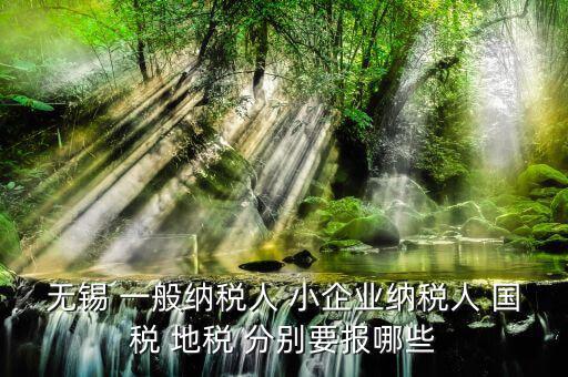 無錫 一般納稅人 小企業(yè)納稅人 國(guó)稅 地稅 分別要報(bào)哪些