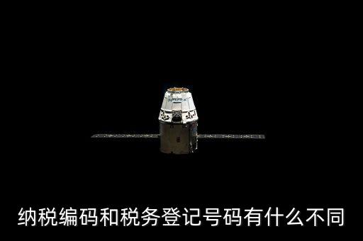 個人納稅編號是什么意思，納稅編碼和稅務登記號碼有什么不同