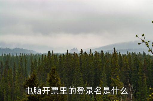 電子稅務(wù)局登錄賬號(hào)是什么意思，企業(yè)金稅盤系統(tǒng)用來開票抄稅報(bào)稅用那登錄國(guó)稅地稅局網(wǎng)站是干嘛的