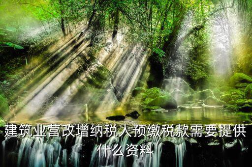 預(yù)繳增值稅要什么資料，在外地有個工程想用人工費發(fā)票增值稅來抵預(yù)交稅款的增值稅需