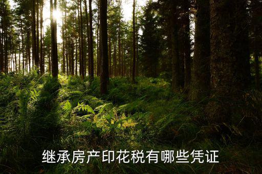 印花稅應納稅憑證是什么，什么是憑證印花稅
