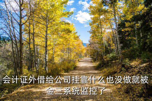 金三系統(tǒng)有什么問題，會計證外借給公司掛靠什么也沒做就被金三系統(tǒng)監(jiān)控了