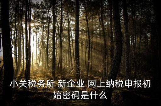 深圳國稅微信預(yù)約密碼是什么意思，小關(guān)稅務(wù)所 新企業(yè) 網(wǎng)上納稅申報初始密碼是什么