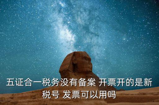 新稅號用到什么，新稅號開的發(fā)票與老稅號開具的發(fā)票有什么不同