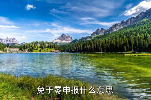 免予零申報是什么意思，免于零申報是什么意思