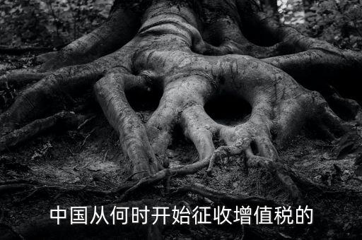 什么時(shí)候征收增值稅，批發(fā)零售業(yè)增值稅征收率什么時(shí)間開(kāi)始為3