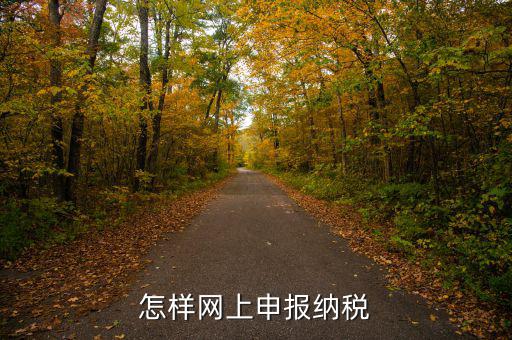 網(wǎng)上用什么申報稅務(wù)，怎樣網(wǎng)上申報納稅