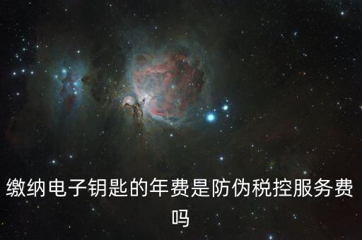 防偽稅控服務費是什么，關于防偽稅控服務費