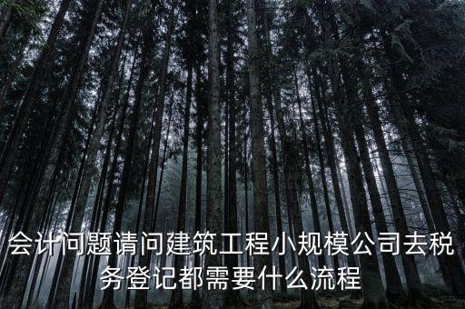 會(huì)計(jì)問題請問建筑工程小規(guī)模公司去稅務(wù)登記都需要什么流程