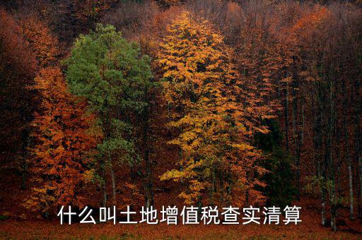 土地增值稅為什么清算，土地增值稅清算