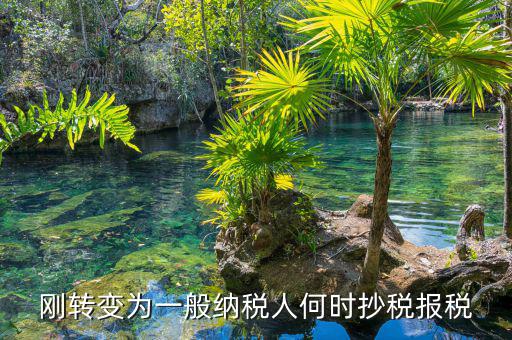 什么時(shí)候抄報(bào)稅，什么時(shí)候去國(guó)稅局抄稅