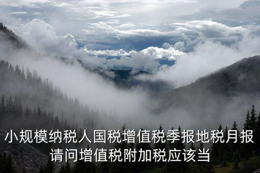 小規(guī)模納稅人國(guó)稅增值稅季報(bào)地稅月報(bào)請(qǐng)問增值稅附加稅應(yīng)該當(dāng)