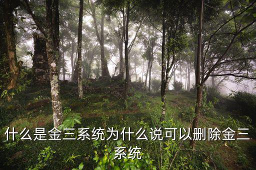 國稅金三系統(tǒng)是什么，什么是金三系統(tǒng)為什么說可以刪除金三系統(tǒng)