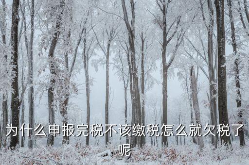 為什么國稅欠稅不催繳，因稅務(wù)機(jī)關(guān)原因未能及時繳納稅款是否屬于欠稅