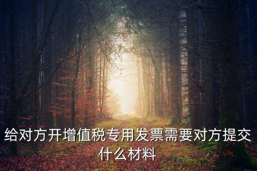 開專票要什么資料，加油卡開增值稅專用發(fā)票需要什么資料