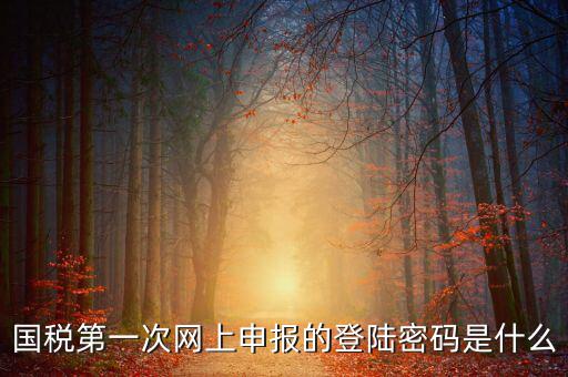 網(wǎng)上稅稅通密碼是什么，國稅第一次網(wǎng)上申報(bào)的登陸密碼是什么