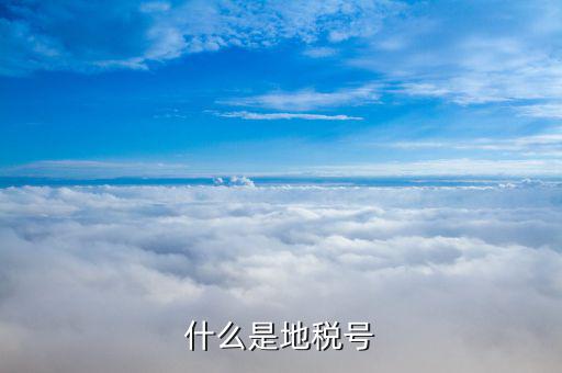 稅務(wù)賬號是什么，什么是地稅號