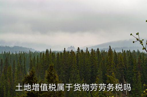 土地增值稅屬于什么稅種，土地增值稅是什么