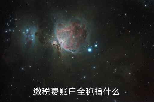 納稅賬戶是什么，我們公司申請的一個(gè)專門用來繳納稅款的賬戶是什么賬戶