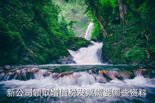領(lǐng)發(fā)票需要什么，去稅務(wù)局領(lǐng)發(fā)票需要帶什么資料去