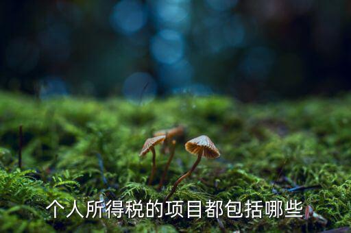 所得項目填什么，個人所得稅必須要填寫六項嗎我沒一項符合