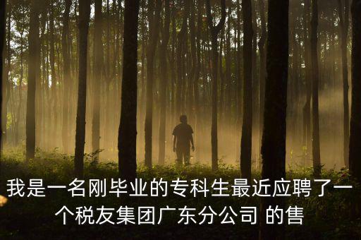 我是一名剛畢業(yè)的專科生最近應聘了一個稅友集團廣東分公司 的售