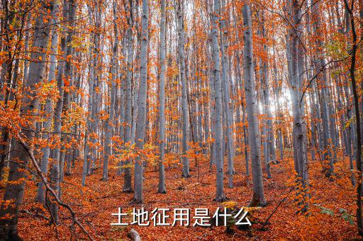 什么是土地報征，什么是征集土地
