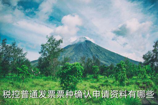 票種核定申請(qǐng)交什么資料，發(fā)票票種核定調(diào)整被拒需要提供什么資料
