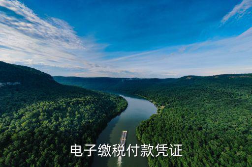 電子繳費憑證是什么，電子繳稅付款憑證