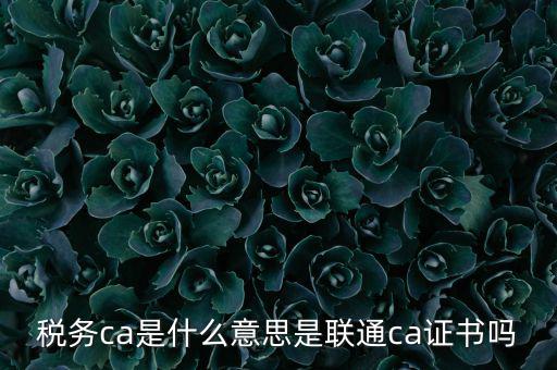 稅務(wù)ca是什么意思是聯(lián)通ca證書(shū)嗎