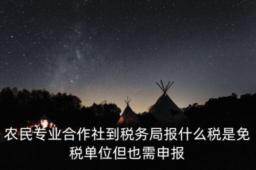 農民專業(yè)合作社到稅務局報什么稅是免稅單位但也需申報
