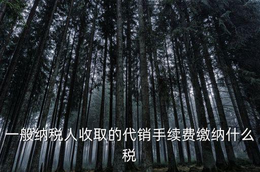代理服務(wù)費(fèi)交什么稅，一般納稅人收取的代銷(xiāo)手續(xù)費(fèi)繳納什么稅