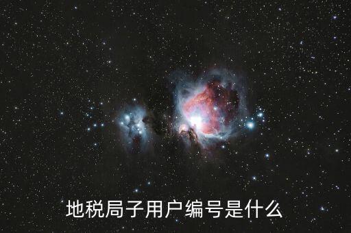 河北地稅的登錄賬號(hào)是什么，地稅局網(wǎng)上申報(bào) 用戶名用戶名是什么啊