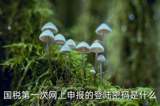 國稅登記密碼是什么，國稅第一次網(wǎng)上申報的登陸密碼是什么