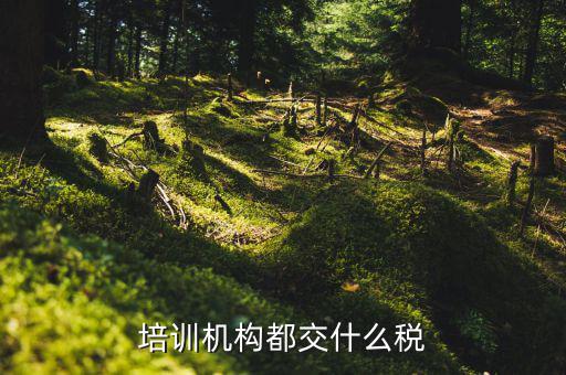 2017培訓機構交什么稅，培訓機構需要交稅的種類有多少