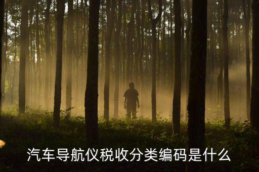 汽車的稅收分類編碼是什么意思，汽車導(dǎo)航儀稅收分類編碼是什么
