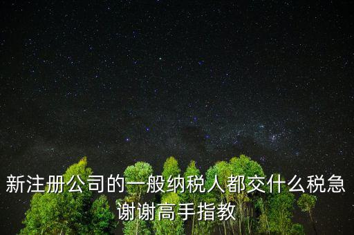 新注冊公司是什么納稅人，新辦企業(yè)是一般納稅人還是小規(guī)模納稅人