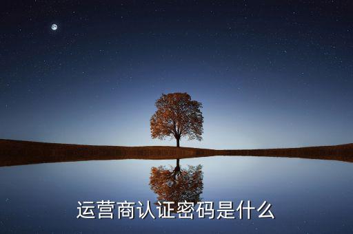 網(wǎng)上認(rèn)證密碼密碼是什么，一般上網(wǎng)認(rèn)證系統(tǒng)初始密碼是什么