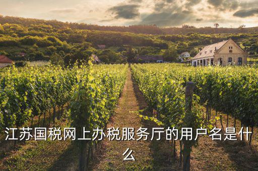 江蘇國稅網上辦稅服務廳的用戶名是什么