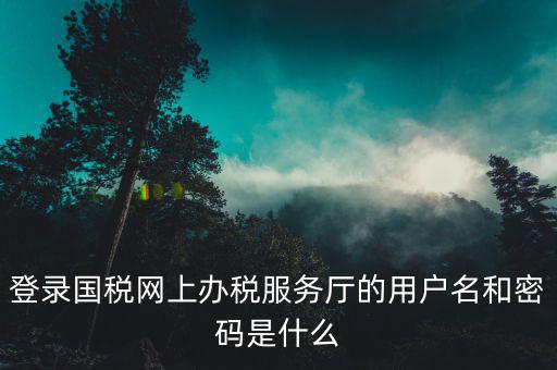 電子稅務局登錄密碼是什么，國稅第一次網(wǎng)上申報的登陸密碼是什么