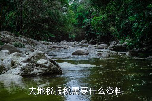 報地稅所需要什么條件，地稅報稅需要什么資料