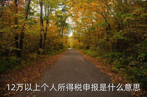 申報(bào)個(gè)稅什么意思，個(gè)稅明細(xì)申報(bào)是指什么