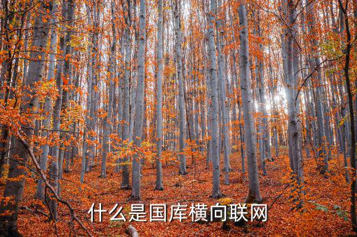 財(cái)稅庫(kù)關(guān)行橫向聯(lián)網(wǎng)系統(tǒng)是什么，什么是國(guó)庫(kù)橫向聯(lián)網(wǎng)