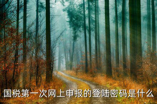 廣州國稅官網(wǎng)登錄密碼是什么，稅務局網(wǎng)站的登入賬戶初始密碼是什么