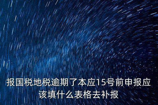 補(bǔ)錄國地稅信息都錄什么，報(bào)國稅地稅逾期了本應(yīng)15號(hào)前申報(bào)應(yīng)該填什么表格去補(bǔ)報(bào)
