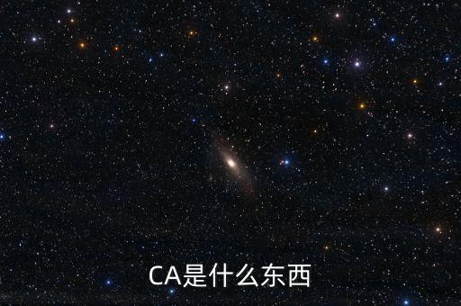 ca中心是什么，CA是什么東西