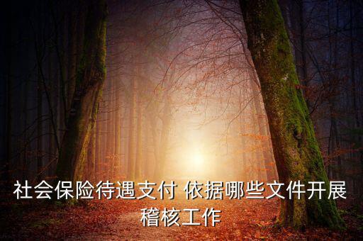 聯(lián)合稽查工作應遵循什么，稅務(wù)稽查工作底稿必須包括哪些內(nèi)容
