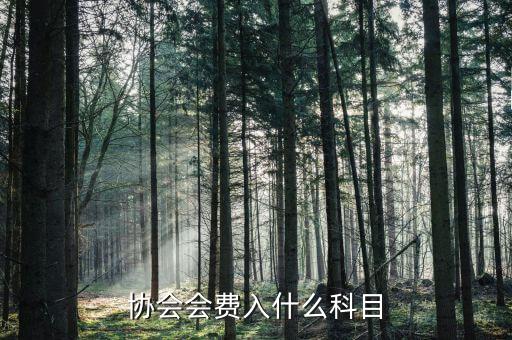 行業(yè)協(xié)會(huì)會(huì)費(fèi)開什么票，交行業(yè)協(xié)會(huì)會(huì)費(fèi)應(yīng)入哪個(gè)科目
